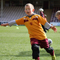 Job vacancy at Fir Park
