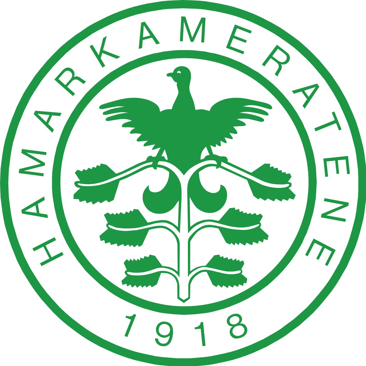 Hamarkameratene (loan)
