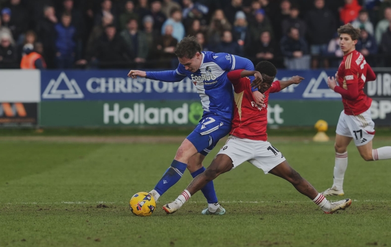 Loan Report: January