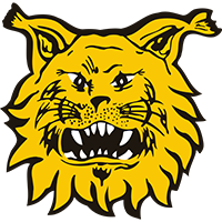 Ilves